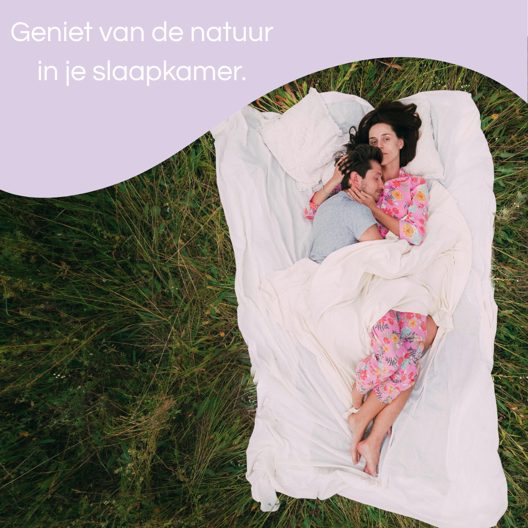 PILLOWMYST - Verbeterde slaap & Energie